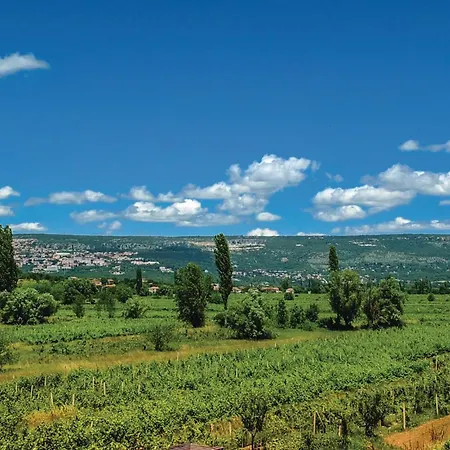 Ferienhaus Stunning In Zagvozd